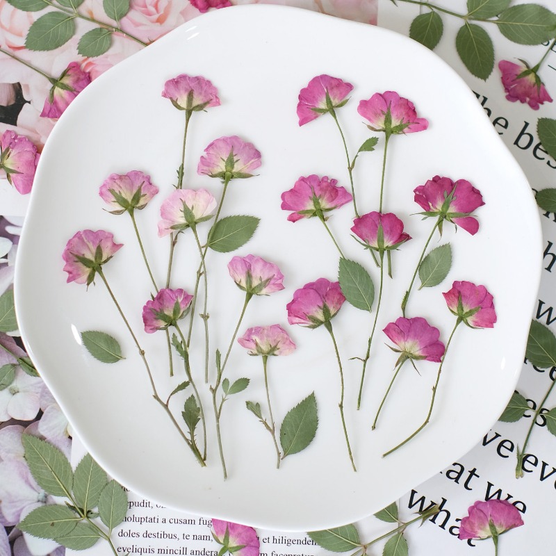 Resin Art Rose Petals - 12 Stück, Echte Mini-Rosen Gepresste Blumen