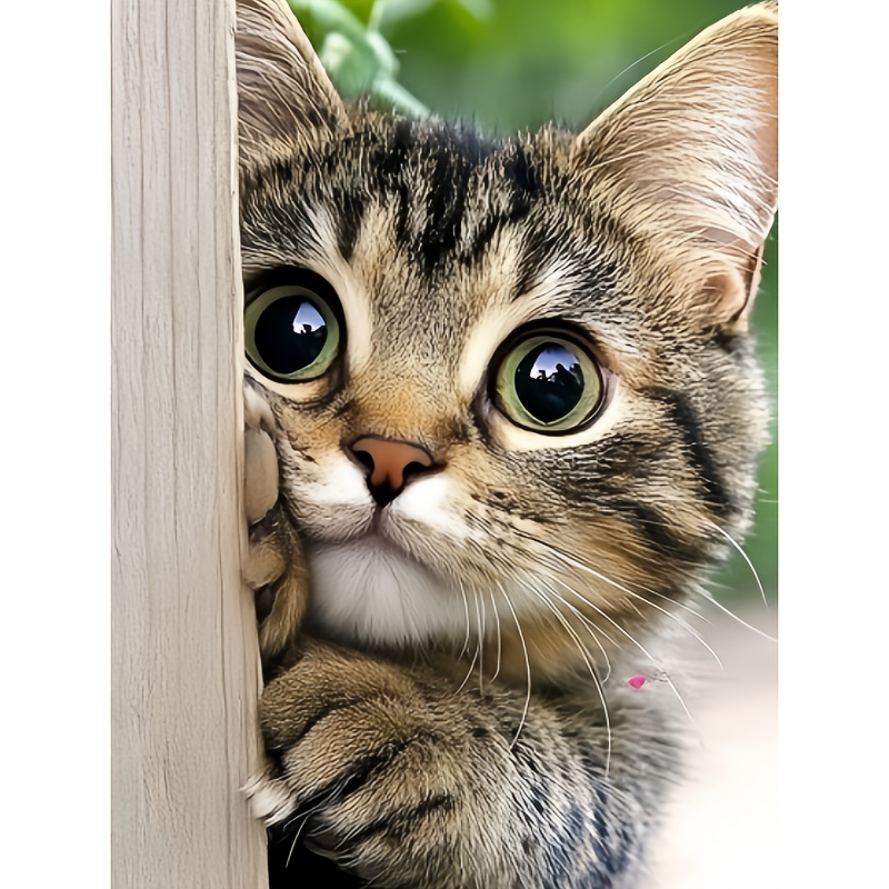Resin Art Images - Ungerahmtes Diamant-Malerei-Set „Unartige Katze“, ein komplettes
