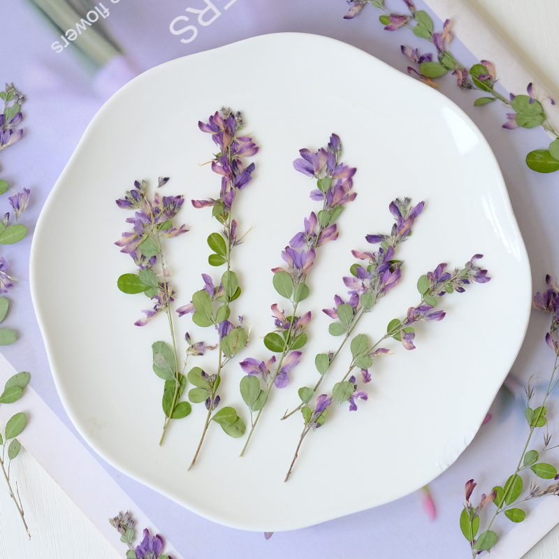 6 Stück, natürliche getrocknet – Resin Art And Jewelry Bewertung und Preis