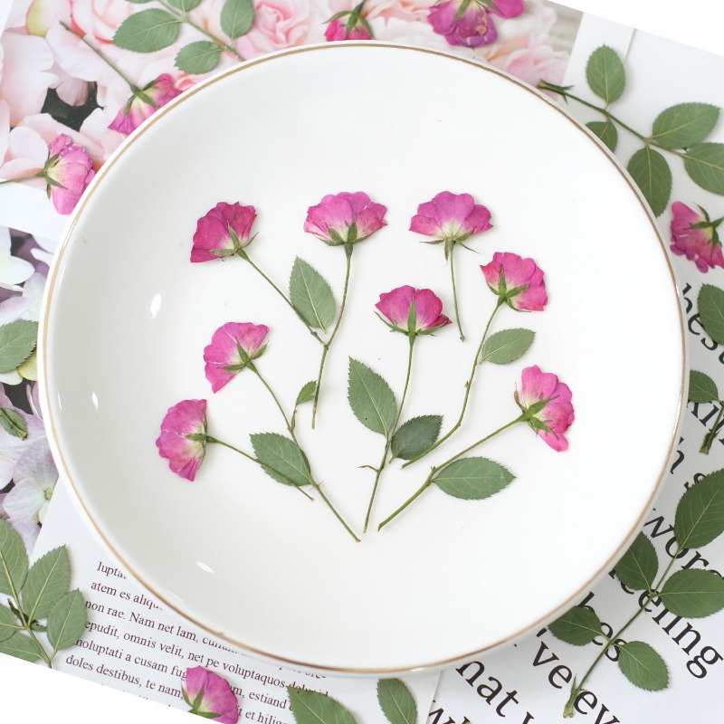 12 Stück, Echte Mini-Rosen Gep – Resin Art Rose Petals Bewertung und Preis