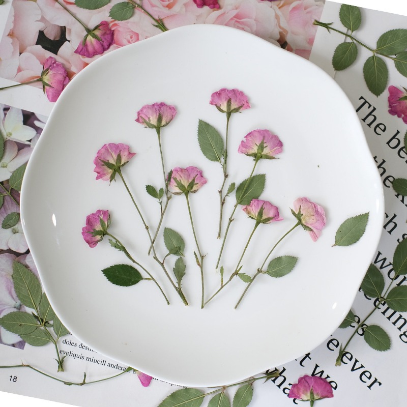 12 Stück, Echte Mini-Rosen Gep – Resin Art Rose Petals Bewertung und Preis
